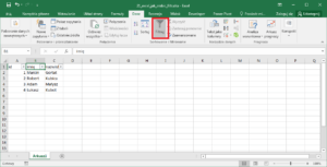 Filtr w Excel - wstawianie filtra